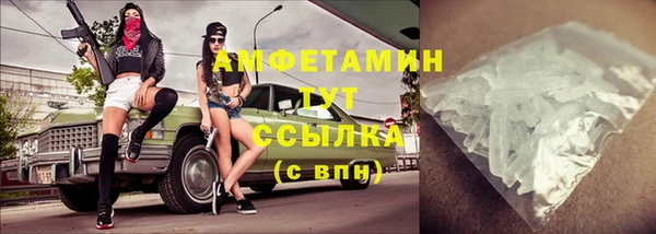 МДПВ Пересвет