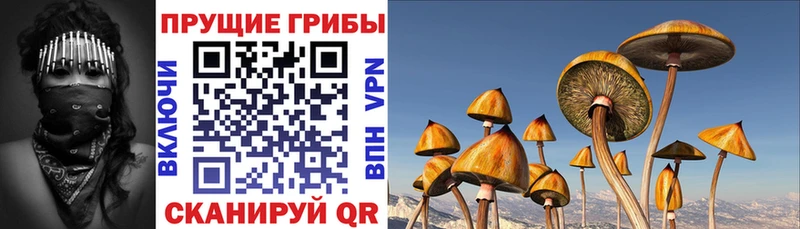 Псилоцибиновые грибы ЛСД Татарск