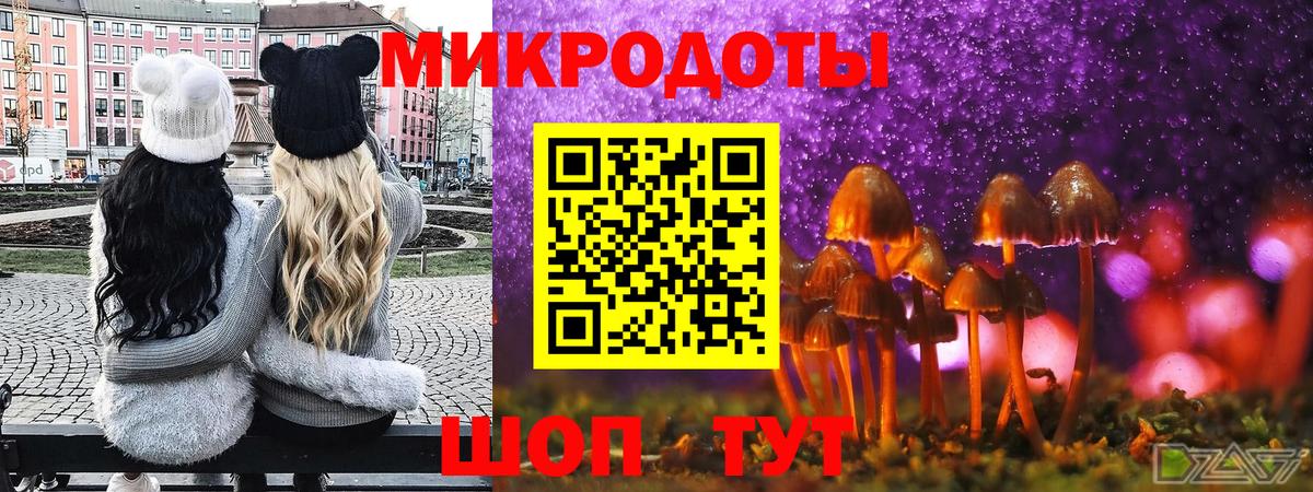 Галлюциногенные грибы Psilocybe  Вход с VPN  Татарск 